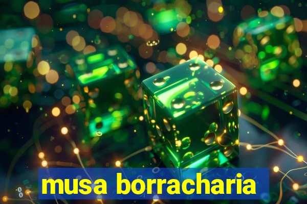 musa borracharia